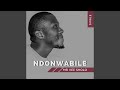 Ndonwabile