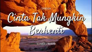 Tangga - Cinta Tak Mungkin Berhenti (Slowed   Reverb)