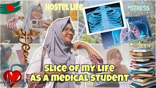 Download Lagu Day In My Life As A Medico 🇧🇩🥼(Medicine Ward,Study)Productive Day| MBBS life 🩺 MP3 Download Lagu Day In My Life As A Medico 🇧🇩🥼(Medicine Ward,Study)Productive Day| MBBS life 🩺 MP3