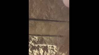 Steph Gets a Close-up Facial Shot Before the Big Pounding