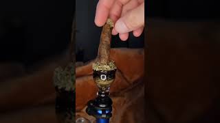 Hashy time bomb