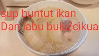 Sup Buntut Ikan Dan Labu Bulu Cikua