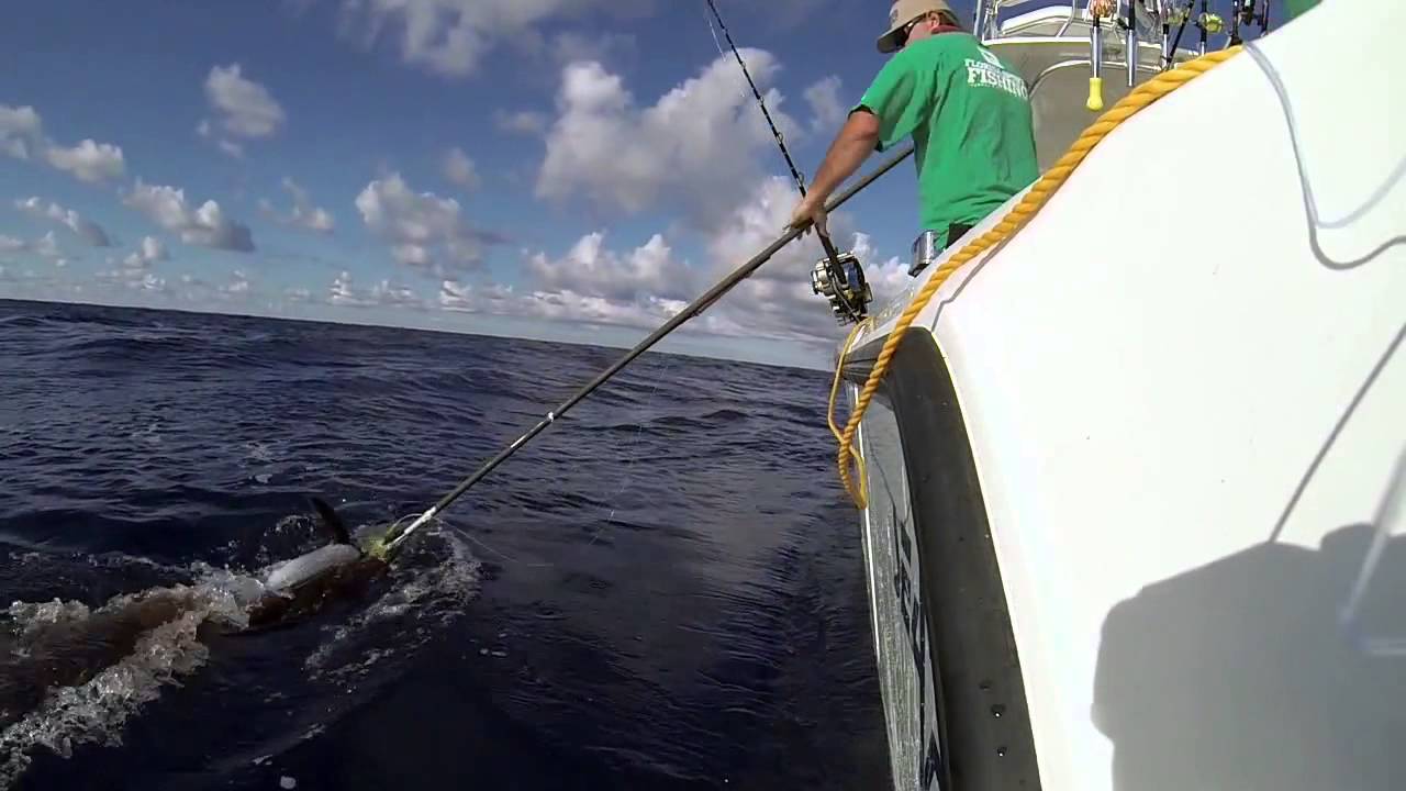 Old Top Gear Swordfish TVR Tuscan feature
