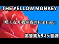 【原曲キー・高再現】「嘆くなり我が夜のFantasy」THE YELLOW MONKEY【カラオケ音源】