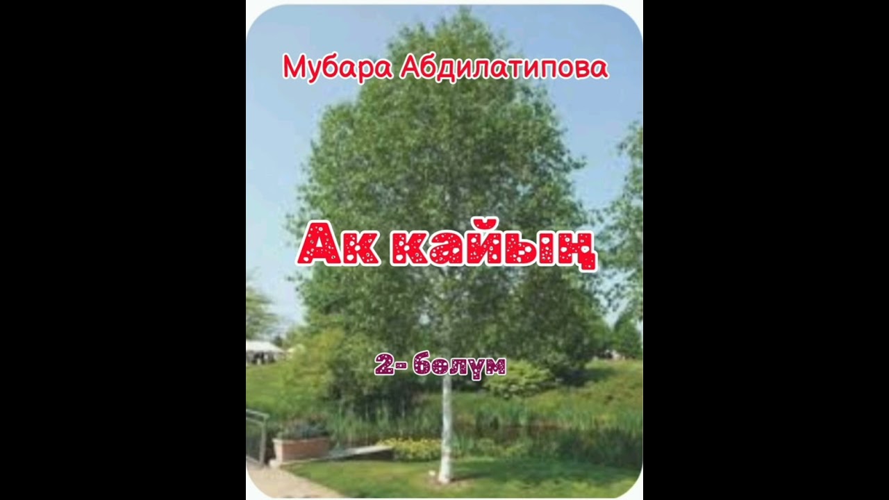 Мубара Абдилатипова Ак кайың 2- бөлүм