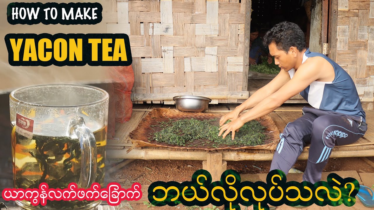 သွေးတိုး ဆီးချို သက်သာပျောက်ကင်းစေတဲ့ ယာကွန် (YACON) လက်ဖက်ခြောက်