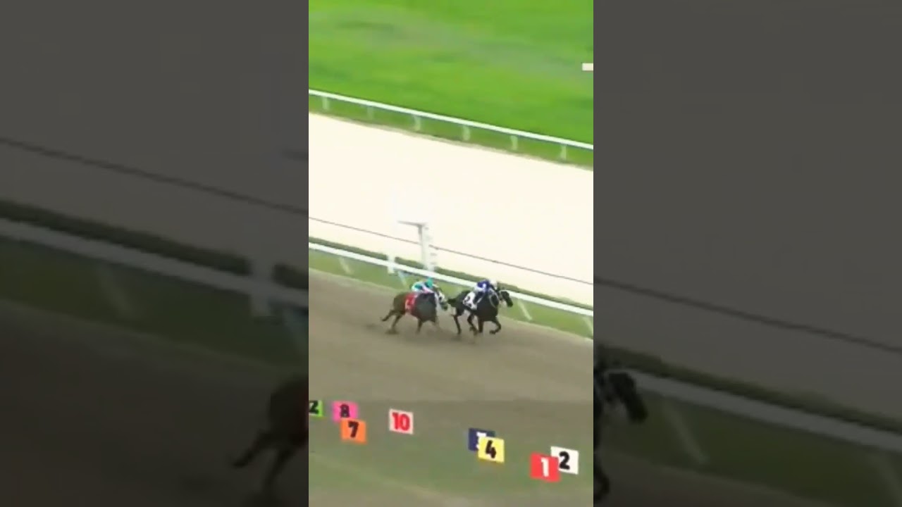 Wabi Sabi con Robert Capriles por vía reglamentaria