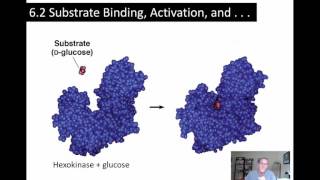 Chapters 5-6 Su2016 P6 Substrate Binding