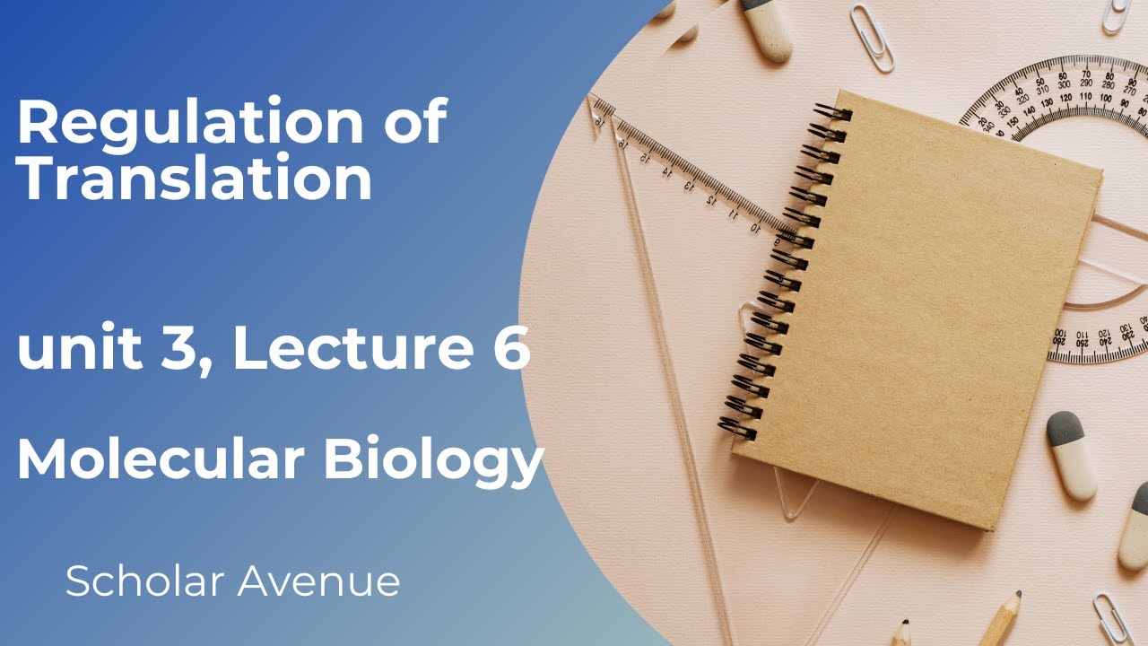 Regulation of Translation in Eukaryotes.