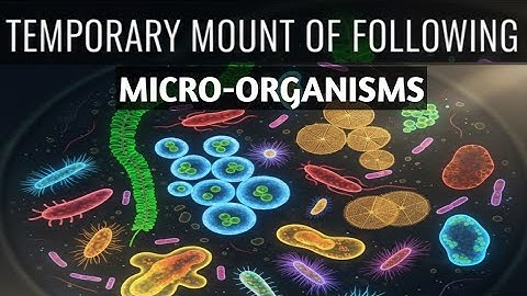 How to Prepare Temporary Mount of Planktons | Zoology Practical | B.Sc./M.Sc. Lab Demonstration