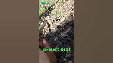 Lọc cặn tại gốc giảm tắc nghẹt hệ thống phun thuốc tự động