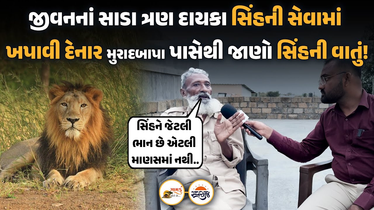 Gamdu Bole Chhe | ગીરનાં ખોળામાં પોતાનું જીવન વિતાવીને સિંહ સાથે પાક્કી દોસ્તી કરનાર લાયન ટ્રેકર