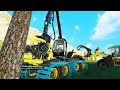 New Million Dollar Forestry Business - Farming Simulator 19 Felsbrunn