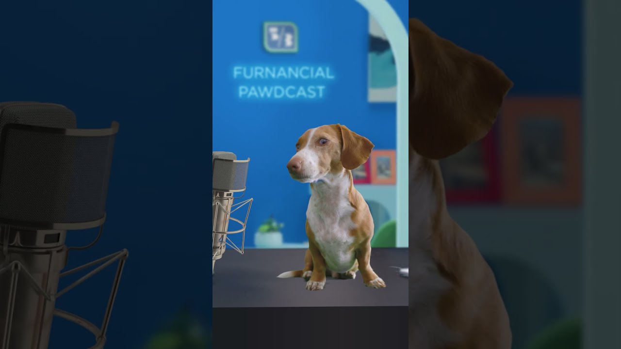Fifth Third Furnancial Pawdcast Chats Credit Score 101