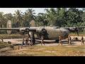 The WWII Pacific Air War: Annihilating the Japanese Air Force | Rare And Restored Archives In Color