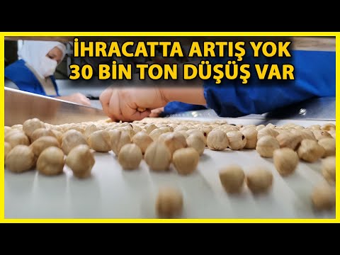Fındık İhracatında Düşüş
