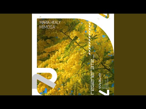 Maria Healy - Mimosa