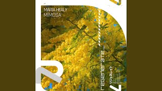 Mimosa