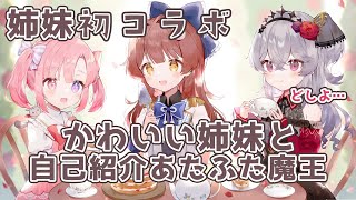 「可愛い自己紹介をする妹たちとあたふたする私【Vtuber/切り抜き/】」のサムネイル