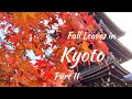 Fall Leaves in Kyoto Part II • 京都の紅葉第二部