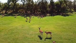 Daini Al Golf Di Albarella