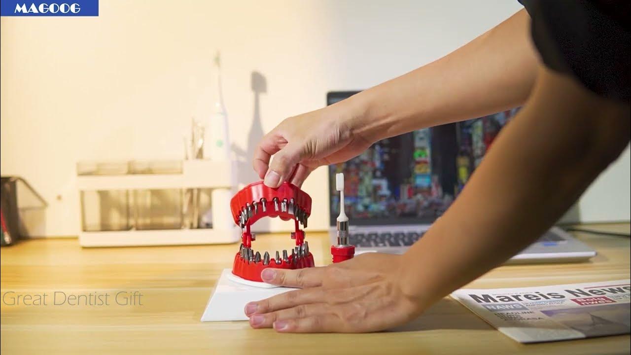 Magoog Denture Drill Bit Holder with Base, New Version, Gag Gift for Dentists YouTube