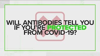 Do antibodies tell if you're protected from COVID | VERIFY