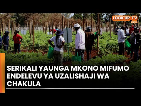 Video: Juu ya nguvu ya ganda 