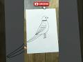 How To Draw A Cute Parrot With Number 5 🦜| Parrot Drawing Easy #art #drawing #cute