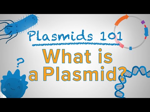 Video: Skillnaden Mellan F Plasmid Och R Plasmid