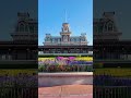 Stop scrolling &amp; enjoy some Magic Kingdom Ambience 🤩 #pov #MagicPOVAdventures #shorts #Disneypov