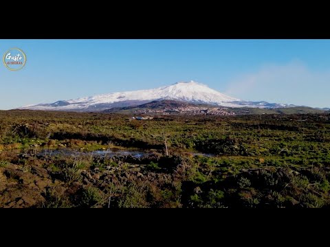 I vini dell'Etna - Gusto di Sicilia