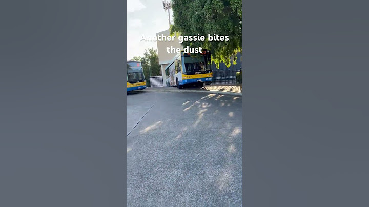 Sorry not Sorry #bus #fail #brisbane #translink