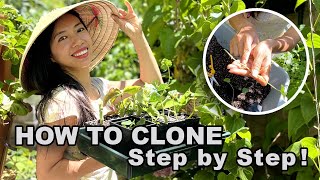 How To Clone These Plants Now For a Bountiful Fall Harvest by Wendi Phan 1,619 views 9 months ago 16 minutes