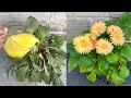 I used this method to kill harmful ants and make a fertilizing solution for Gerbera plants