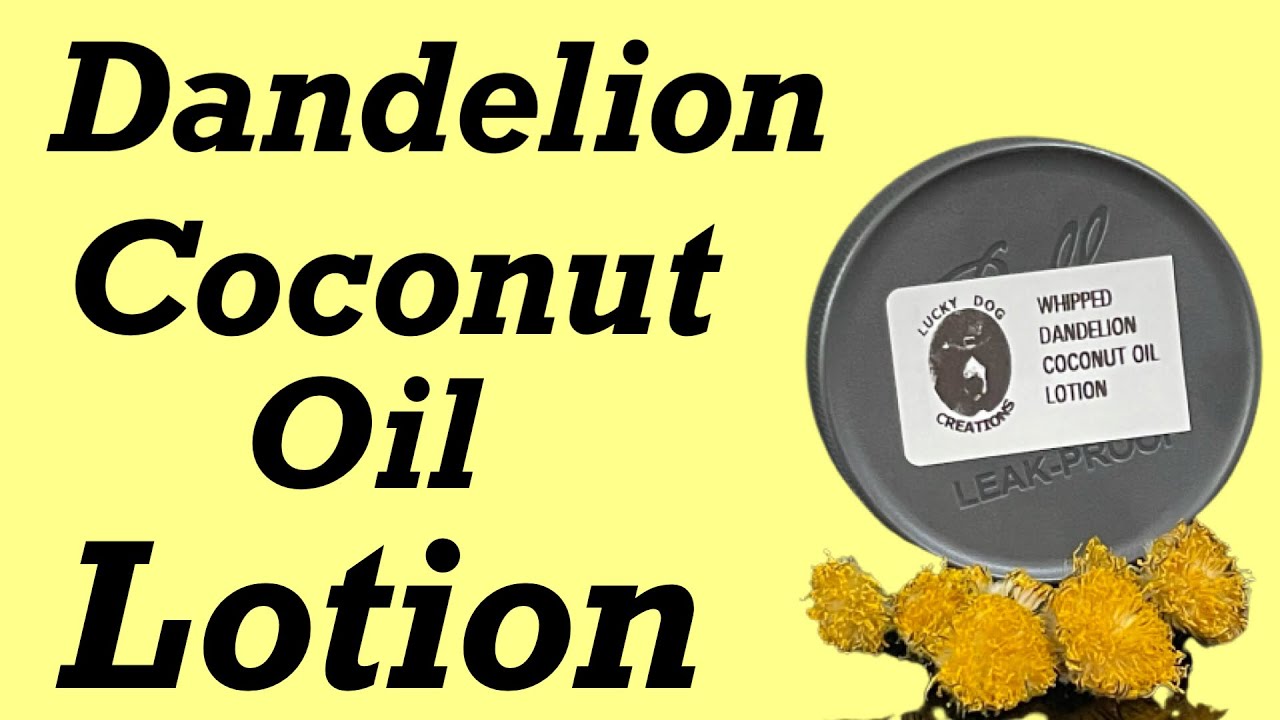 Whipped Dandelion Coconut Oil Lotion YouTube