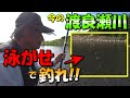 【鮎釣り】2020年夏のトロ場大攻略！！泳がせ釣りで入れ掛かり！？