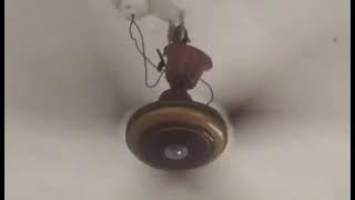 339380135 9560816013932132 6196516252571194716 n