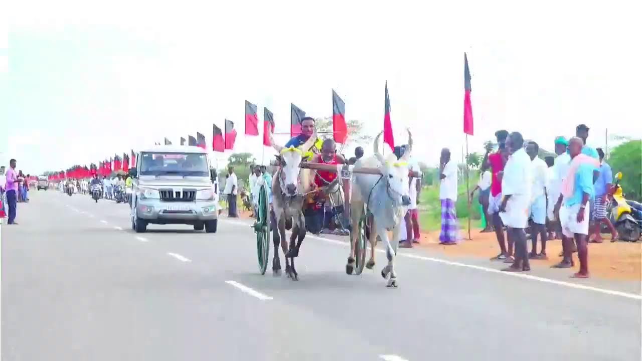 🔴நேரலை பெரியமாடு சனவேலி krish studio live