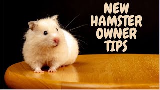 New Hamster Owner Tips