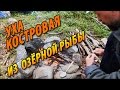 Уха походная по-карельски - уха костровая из озёрной рыбы