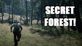 Five Hidden SUPERNATURAL SECRETS Found in Red Dead Redemption 2!