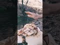 mutton leg piece 🧩 #chickenrecipe #survival #sausage#  short video