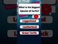US Quiz | Biggest Turtle #usa #mindbendingquiz #shorts #shortsquiz#gkquiz #trivia #triviaquiz