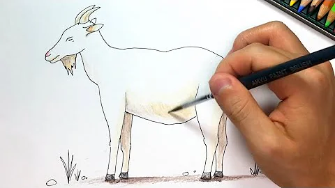 ヤギお絵かき ヤギお絵かき