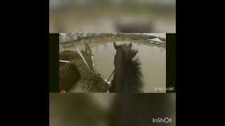 Palms - Petite Buiscuit - XC horse music video