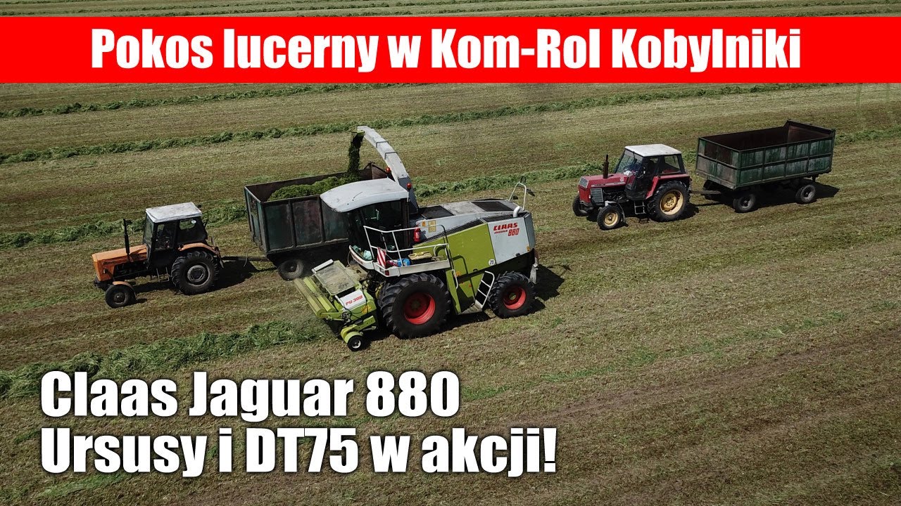 maxresdefault Pokos lucerny w Kom Rol Kobylniki   Claas Jaguar, Ursusy i DT75 w akcji!