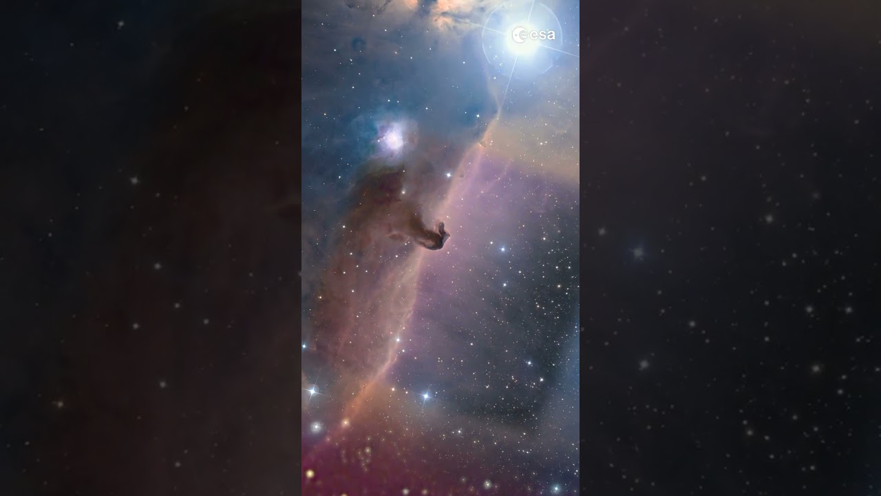 Zoom into the Horsehead Nebula 🔎