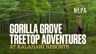 Gorilla Grove Treetop Adventures at Kalahari Resorts | Pocono Manor, PA