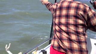 Landing a bass on light tackle